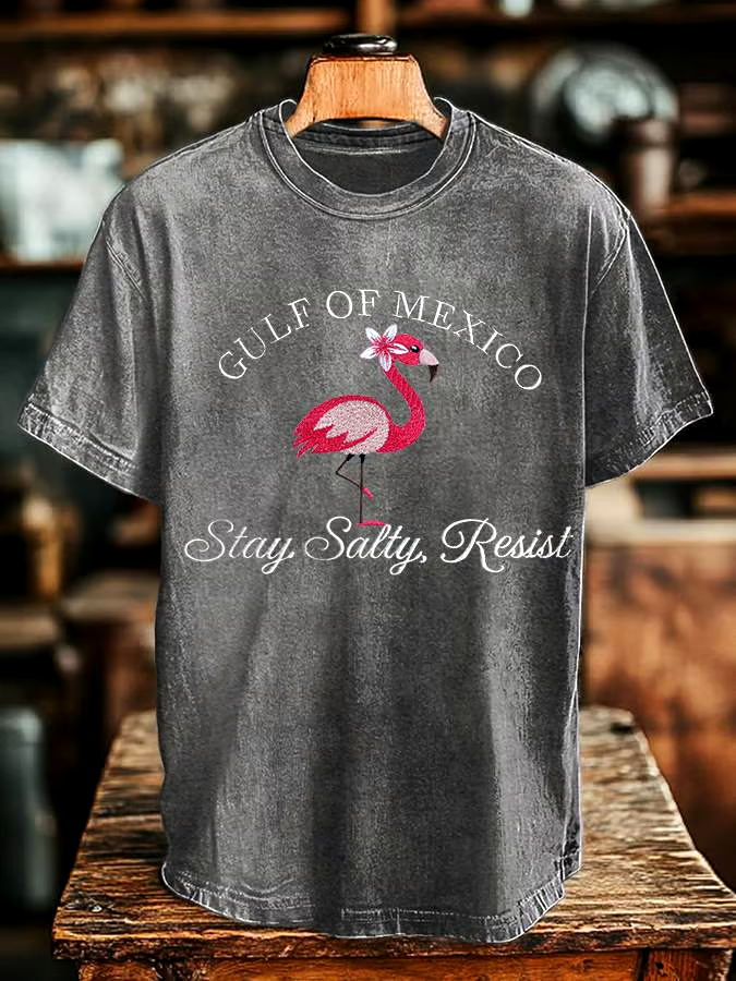 ?Buy 3 get 12% off丨Men's Gulf Of Mexico Print T-shirt