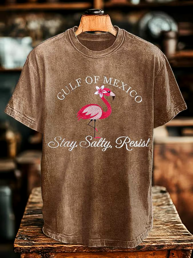 ?Buy 3 get 12% off丨Men's Gulf Of Mexico Print T-shirt