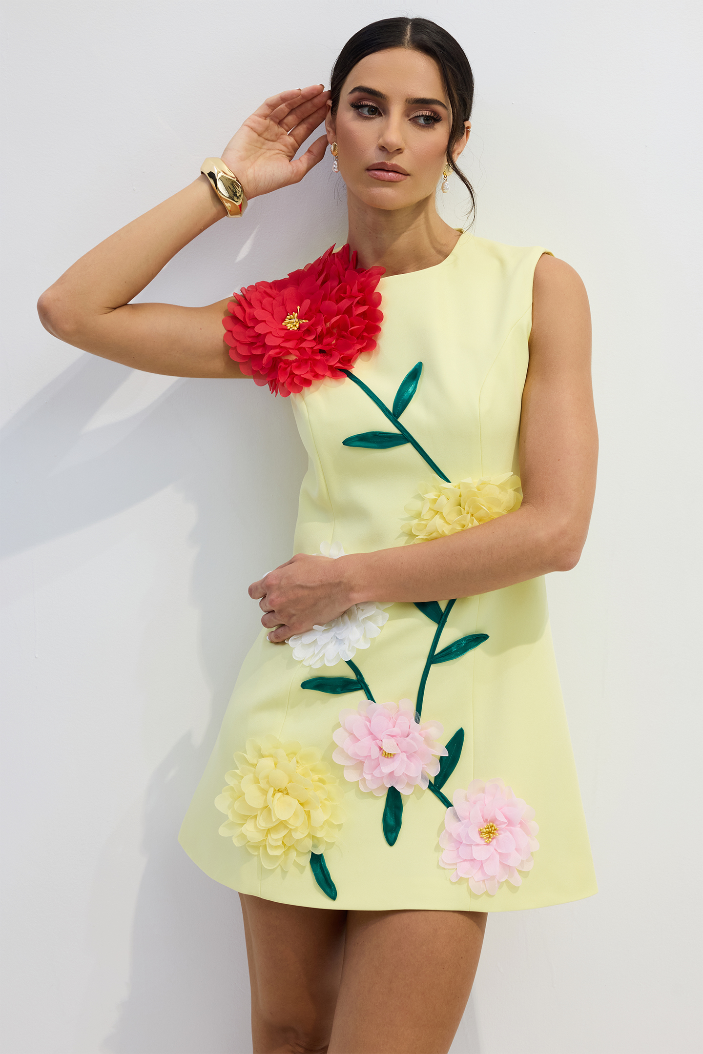 Sibyl Floral Applique Sleeveless Mini Dress